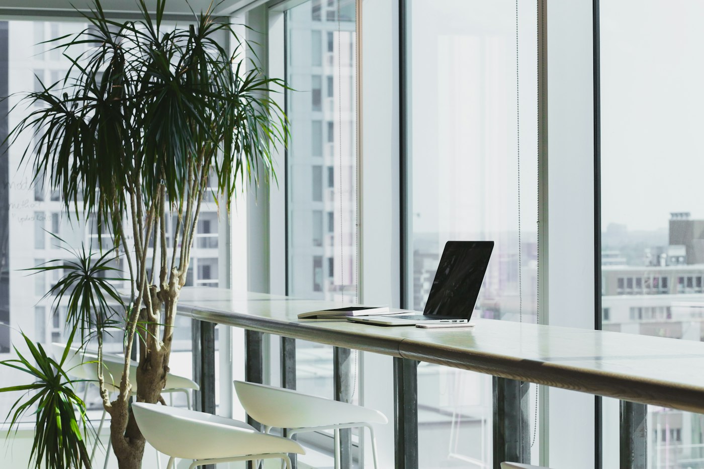 Professional Consulting Workspace